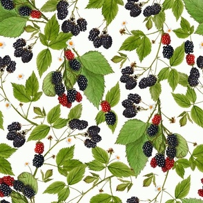 14" Tasty nostalgic  blackberries,  vintage blackberry fabric, harvest pattern, white