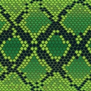 Green snake skin pattern