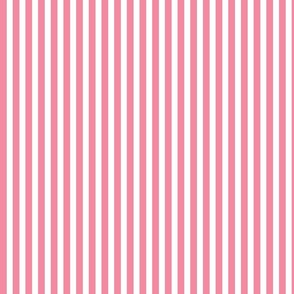 Circus Stripes