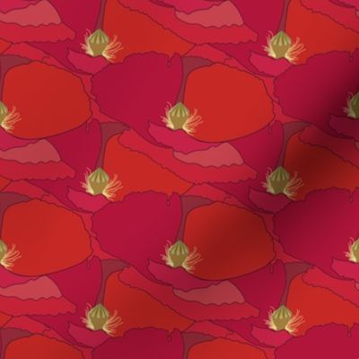 Poppy Polygon // Large Scale// Wild Flowers // Red Poppy // Orange Poppy // Pink Poppy // Summer Time // Cotton Bright Flowers