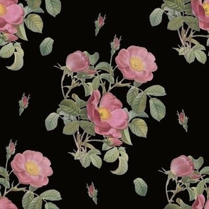 Black Rose Chintz