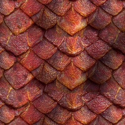 Dragon Red Fantasy Scale Dragonscale Cosplay Fire