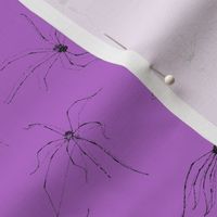 Daddy Long-Legs - Small Lavender