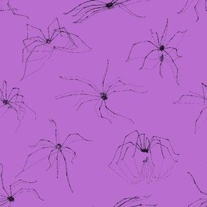 Daddy Long-Legs - Small Lavender