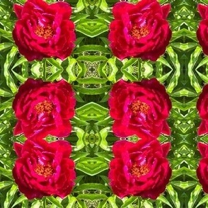 BOHO RED PEONY ABSTRACT GEOMETRICAL