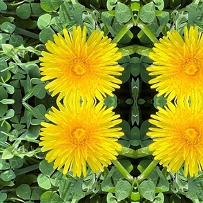 DANDELIONS AND CLOVER-JUMBO-MIRROR