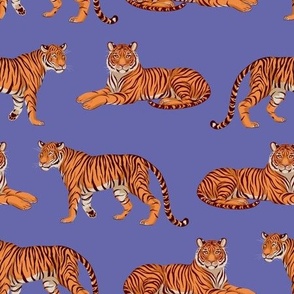 Simple Tiger Pattern Very Peri - Medium