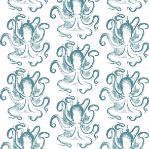 OCTOPUS - BLUE ON WHITE