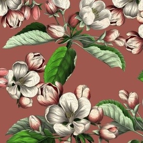 Apple Blossom Paradise Dusky Rose