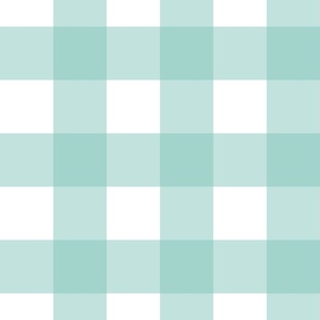 3 inch gingham teal