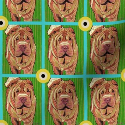 Shar Pei Bullseye