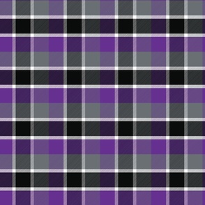 Large Scale Witchy Halloween Plaid for Fall Autumn in Purple Black Grey