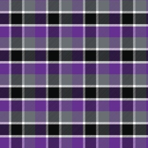 Medium Scale Witchy Halloween Plaid for Fall Autumn in Purple Black Grey
