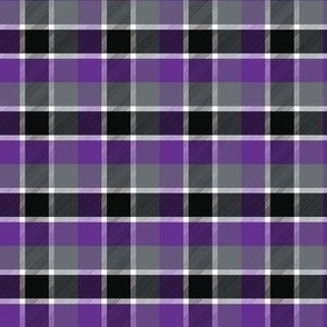 Small Scale Witchy Halloween Plaid for Fall Autumn in Purple Black Grey