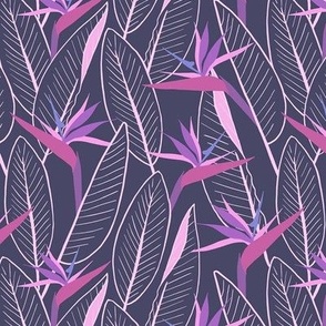 Birds of Paradise and leaves - Navy