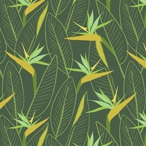 Birds of Paradise and leaves - Dark green