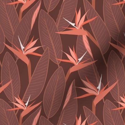 Birds of Paradise and leaves - Brown