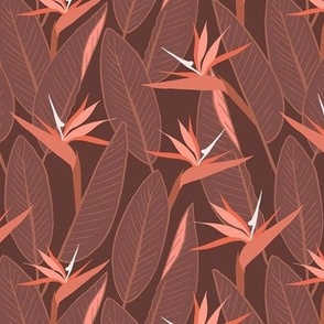 Birds of Paradise and leaves - Brown