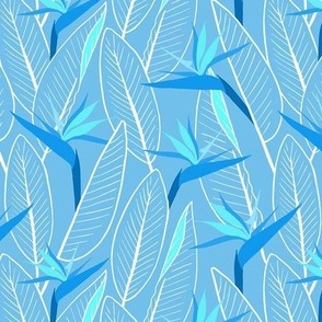 Birds of Paradise and leaves - Blue