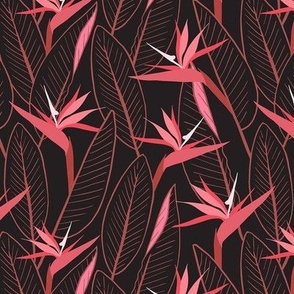 Birds of Paradise and leaves - Black