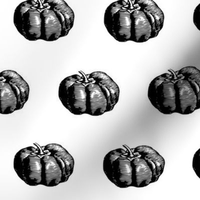 Small Vintage Pumpkin from Greer's Seed Catalog - Black and White