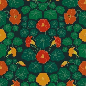 NASTURTIUM