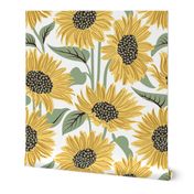 Sun-kissed sunflowers // large jumbo scale // white background yellow flowers sage green leaves 