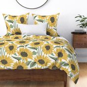 Sun-kissed sunflowers // large jumbo scale // white background yellow flowers sage green leaves 