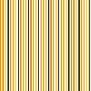 Cute Halloween Stripes in Orange and Black - Small