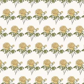 Retro Rose Yellow in a row