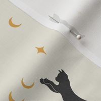 Cat and Moon 