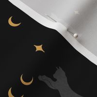 Cat and Moon-Black