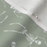 Day of the dead - Realistic skeleton freehand sketched bones on sage green