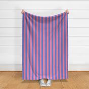 wide linen stripe blue and pink