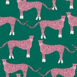 White Boots Pink Cheetah