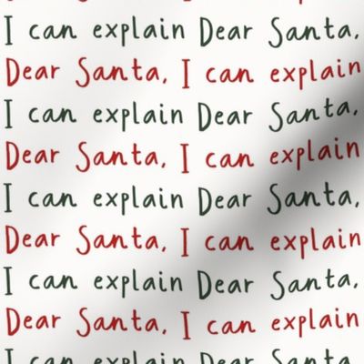 Dear Santa, I Can Explain - Christmas