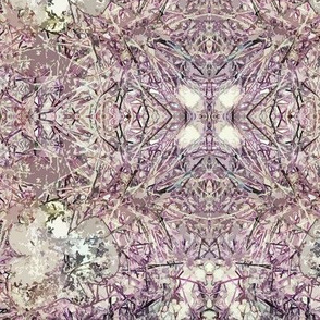 Fungi Kaleidoscope - Lavender