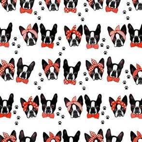 boston terriers with paw prints 