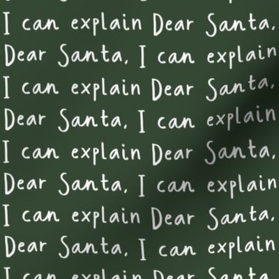 Dear Santa, I can explain / Evergreen - Christmas