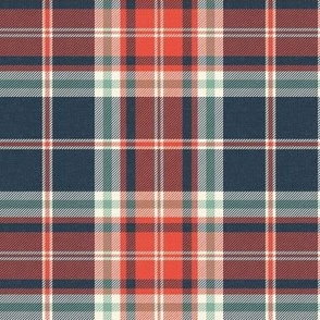 Headmaster Plaid - Navy Blue Red Regular Scale