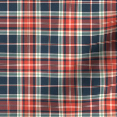 Headmaster Plaid - Navy Blue Red Small Scale