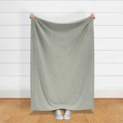 Foggy Sage 1 Solid: Light Green Gray, Dusty Sage Solid