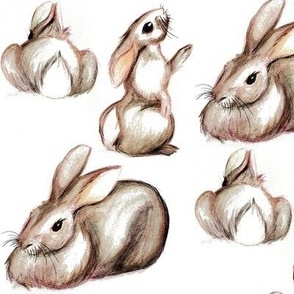 watercolour rabbits