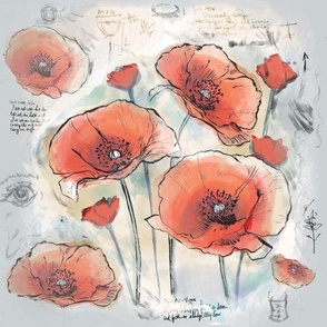 On the documentation of Poppies