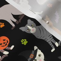 Halloween Cats Black