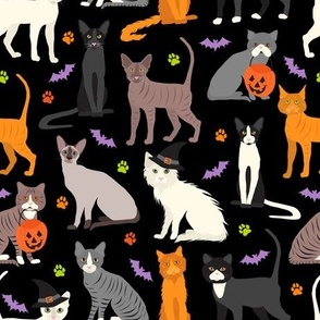 Halloween Cats Black