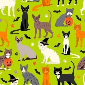 Halloween Cats Green