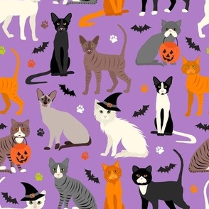 Halloween Cats Purple