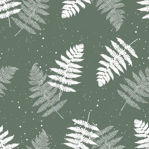 Green and white forest fern 