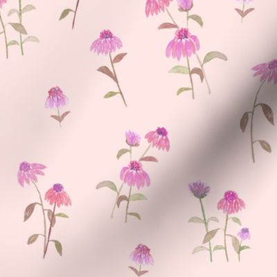 watercolor pink daisy